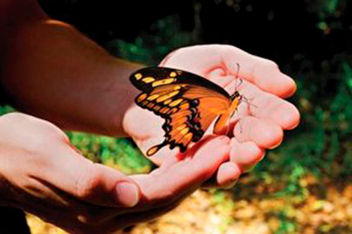 Prison as a Microcosm of Our Lives on Earth